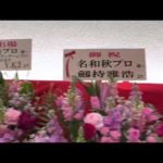 Thumbnail of related posts 133
