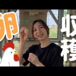 Thumbnail of related posts 135